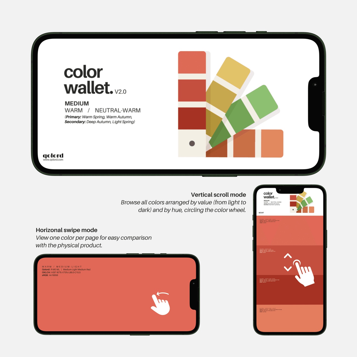 Medium & Warm | Digital Color Wallet | Warm Spring & Warm Autumn - Qolord