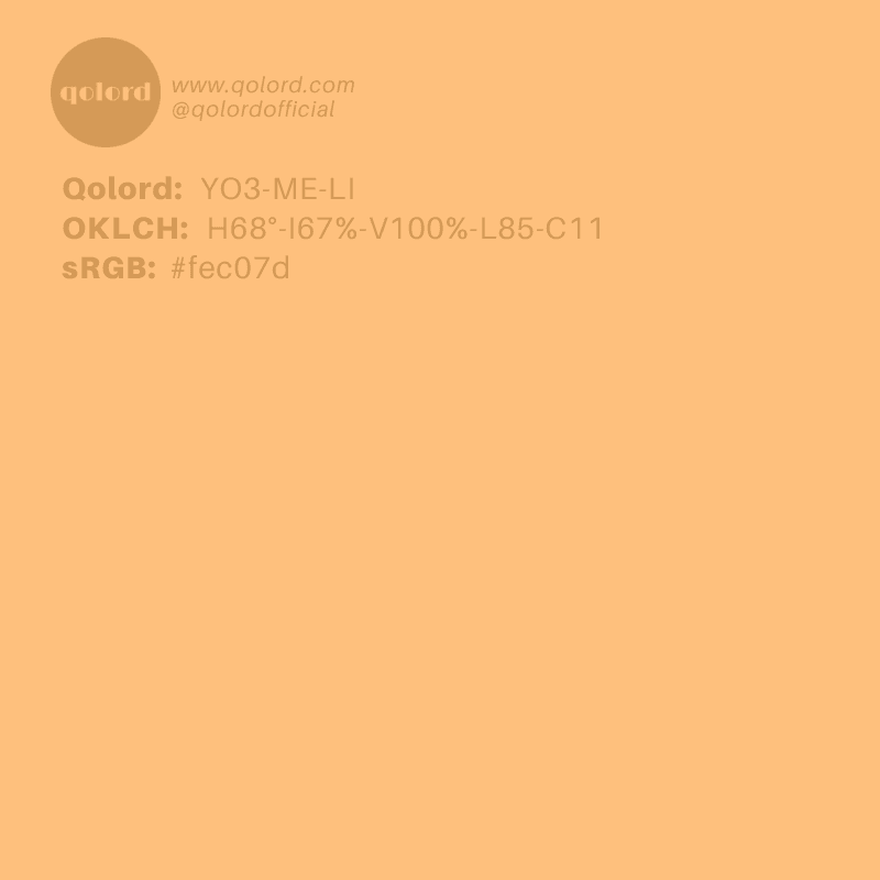 Light Medium Orange | YO3-ME-LI