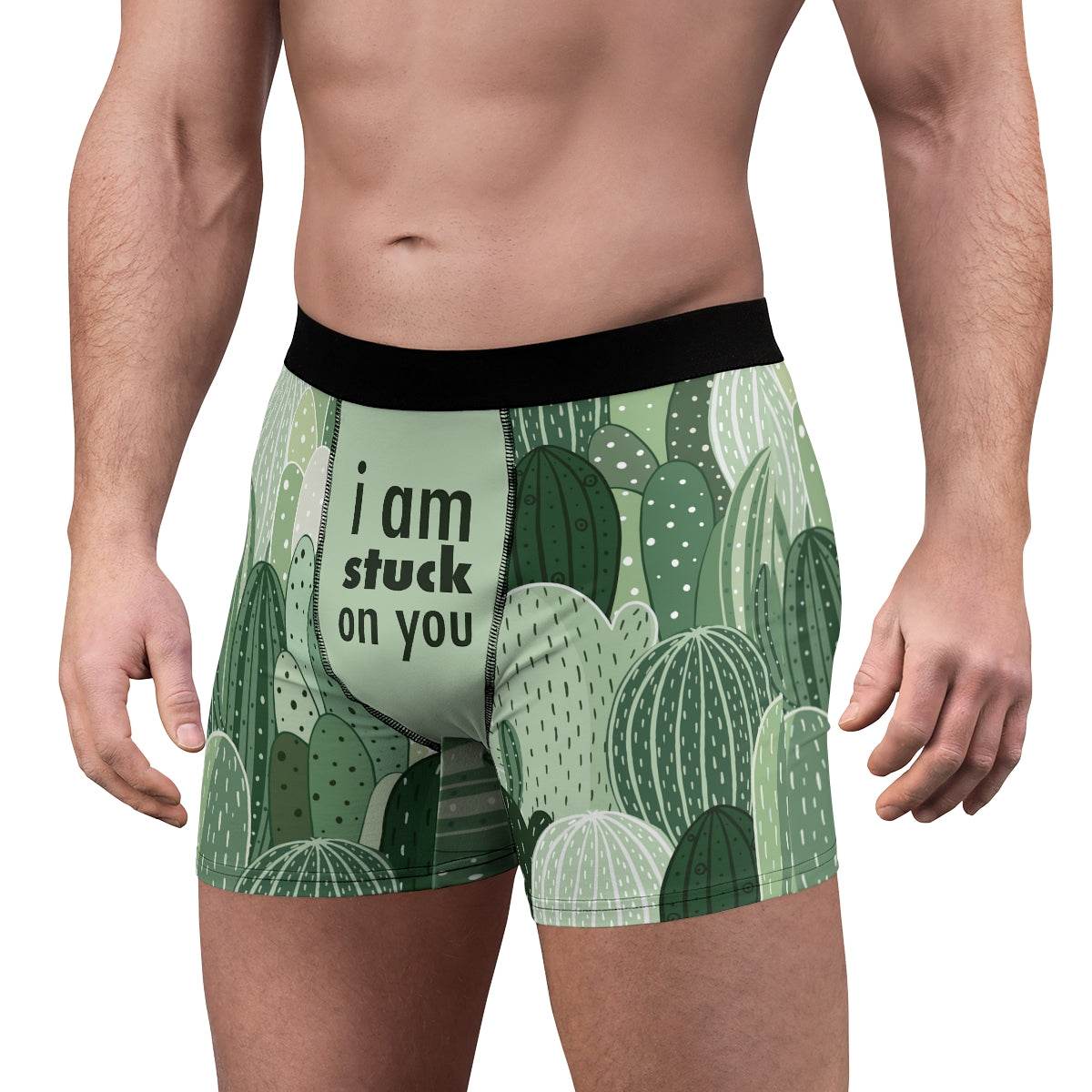 I Am Stuck On You Cactus Lover Boxer Briefs - Qolord