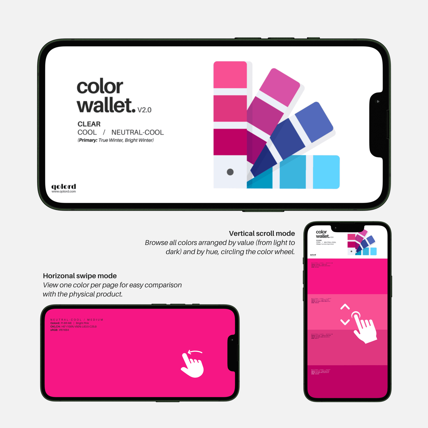 Clear & Cool | Digital Color Wallet | True Winter & Bright Winter - Qolord