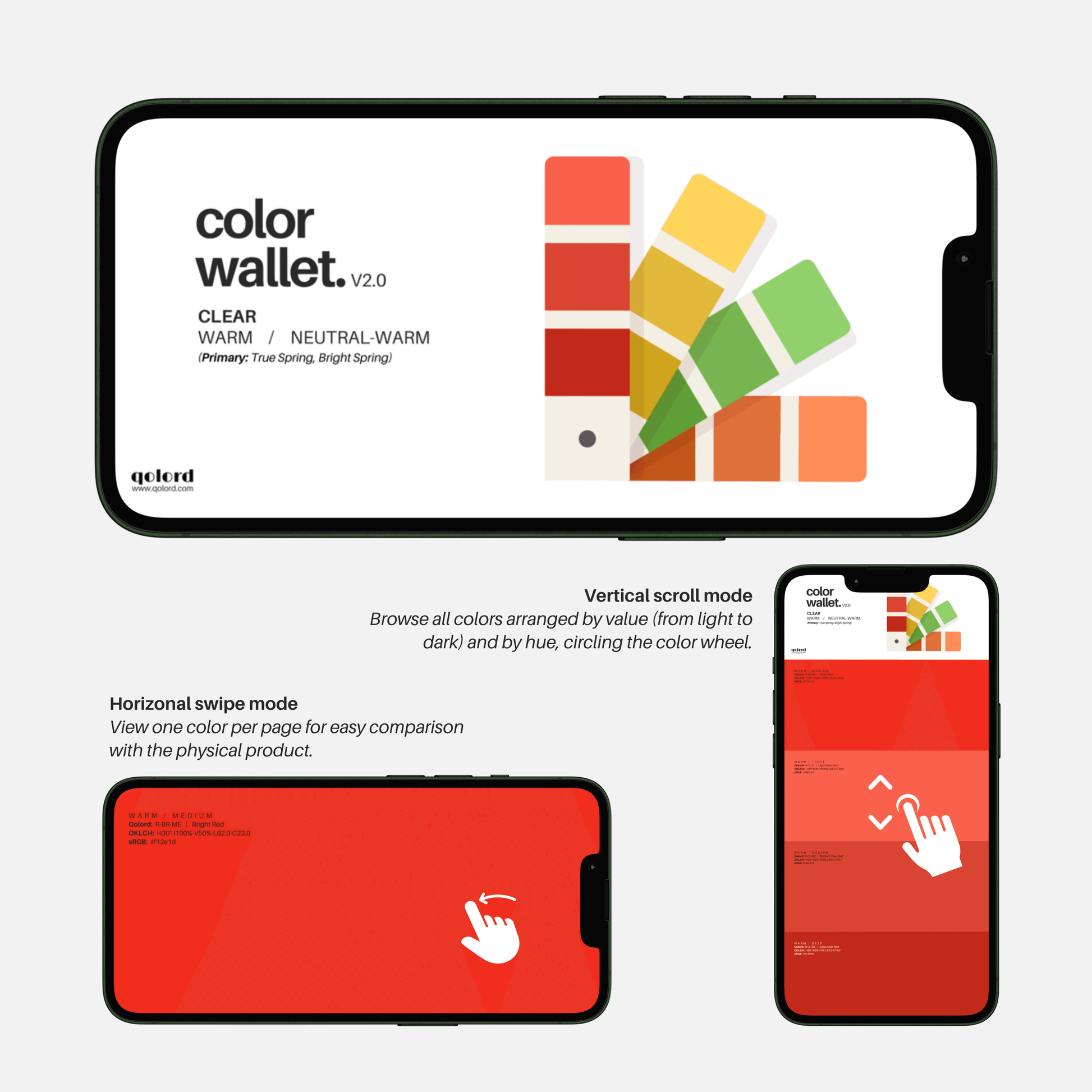 Clear & Warm | Digital Color Wallet | True Spring & Bright Spring - Qolord